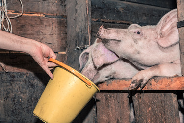 Similar image 21680585