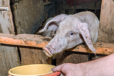 Similar image 21683713