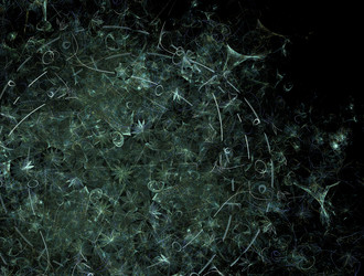 Similar image 21681306