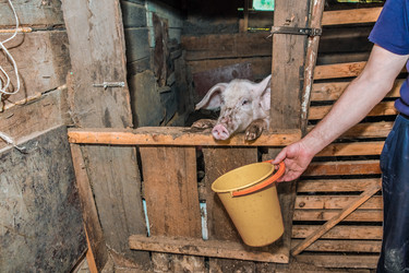 Similar image 21680587