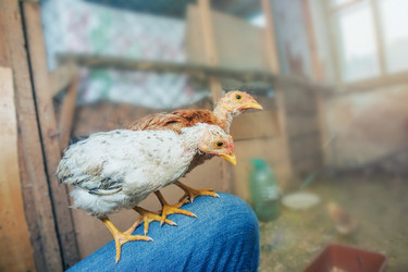 Similar image 21684365