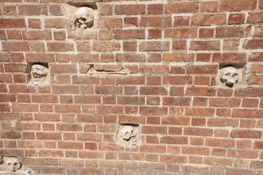 Similar image 21679829