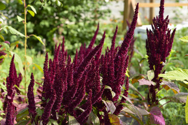 Similar image 21679857