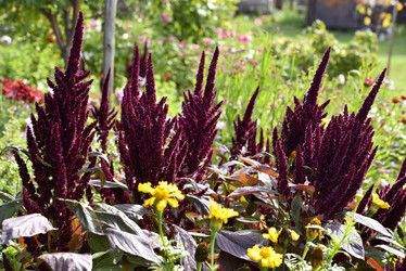 Similar image 21679858