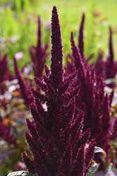 Similar image 21679859