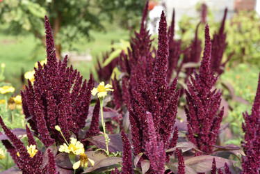 Similar image 21679860