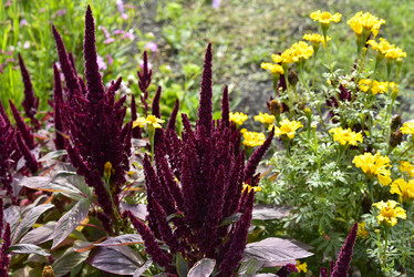 Similar image 21679861