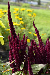 Similar image 21679862