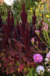 Similar image 21679865