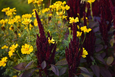 Similar image 21679868