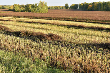 Similar image 21679871