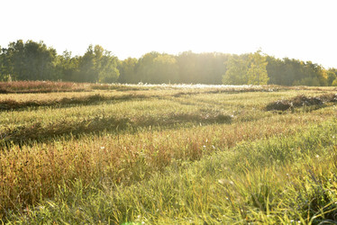 Similar image 21679874