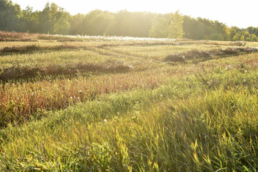 Similar image 21679875