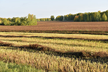 Similar image 21679877