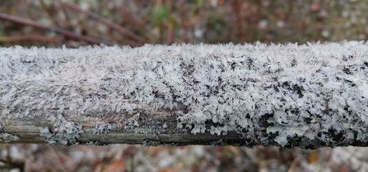 Similar image 21680595