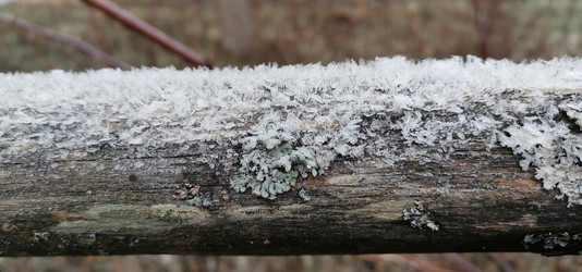 Similar image 21680596