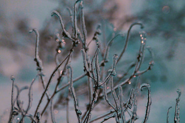 Similar image 21680599