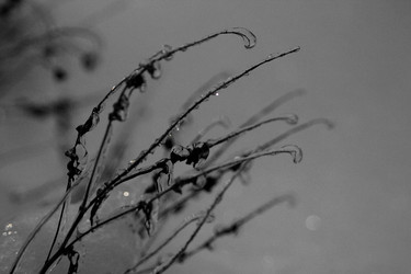 Similar image 21680601