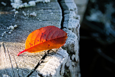 Similar image 21680602