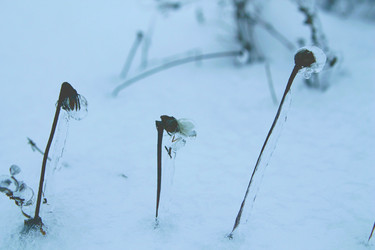 Similar image 21680603