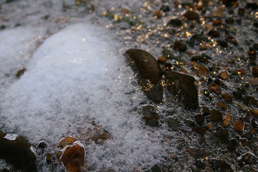 Similar image 21680605