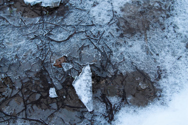 Similar image 21680608