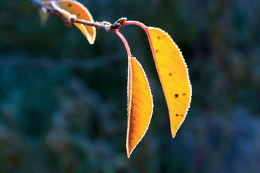 Similar image 21680610