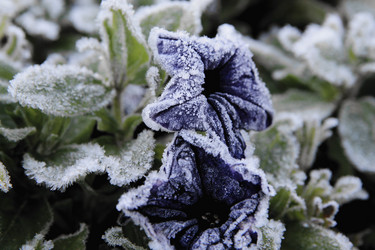 Similar image 21680611