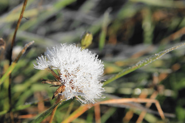 Similar image 21680612