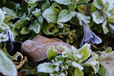 Similar image 21680614