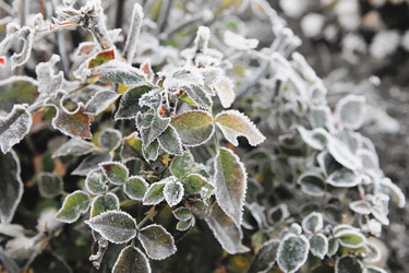 Similar image 21680615