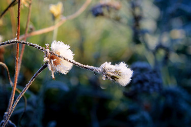 Similar image 21680616