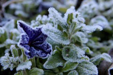 Similar image 21680618