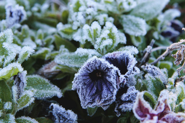 Similar image 21680619