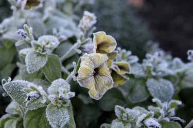 Similar image 21680620