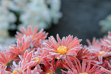 Similar image 21680622