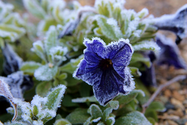 Similar image 21680623