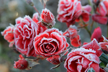 Similar image 21680624