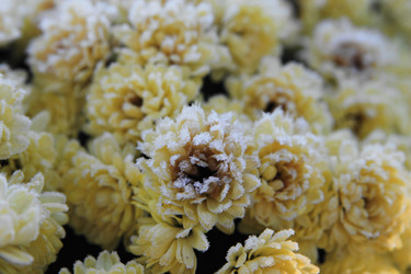 Similar image 21680625