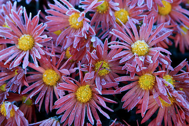 Similar image 21680626