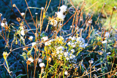 Similar image 21680627