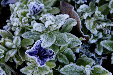 Similar image 21680629