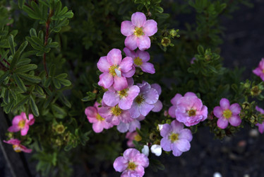 Similar image 21679880