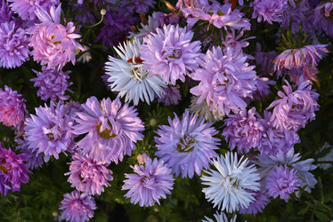 Similar image 21680630