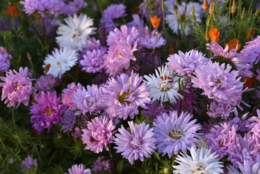 Similar image 21680631