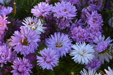 Similar image 21680633