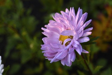 Similar image 21680634