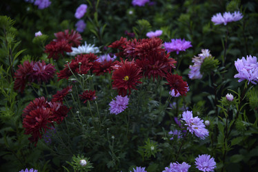 Similar image 21680635