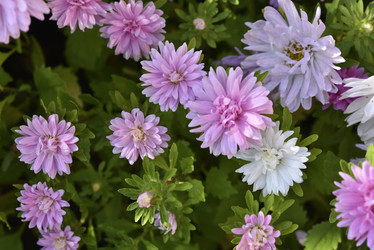 Similar image 21680636