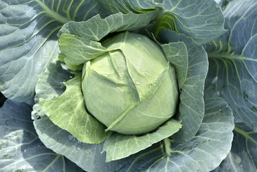 Similar image 21680638